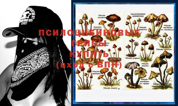 mdpv Алексеевка