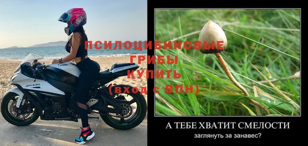 прущий лед Заводоуковск