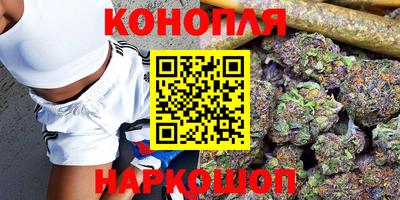 крисы Ливны
