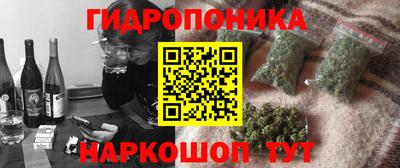 индика Ликино-Дулёво