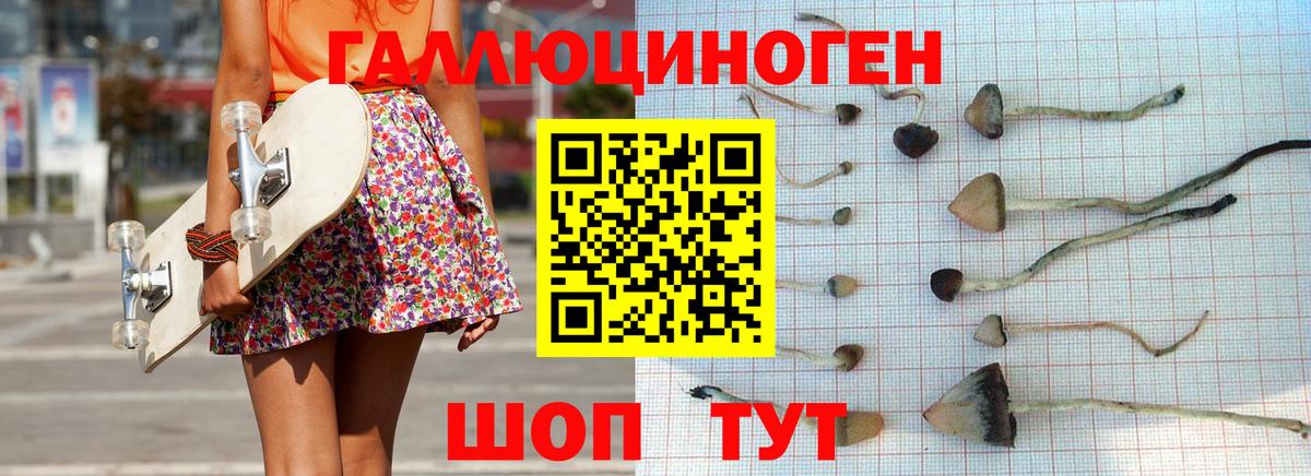 Балашов  Псилоцибиновые грибы мицелий  Галлюциногенные грибы Psilocybe  Вход с VPN 