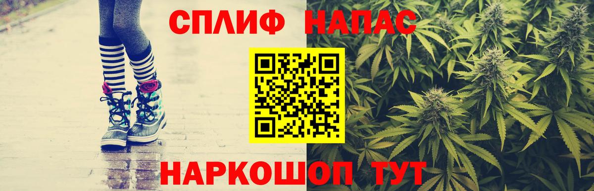 Балашов  Бошки Шишки план  Бошки Шишки OG Kush  Вход с VPN  Бошки марихуана White Widow  Марихуана сатива 